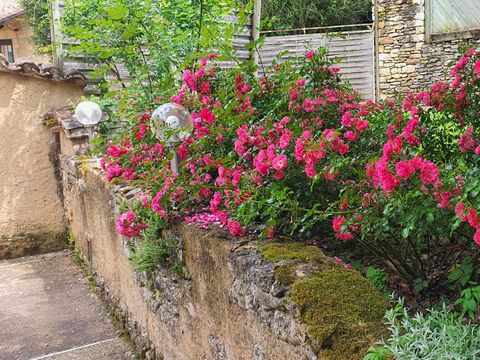 Camping Moulin de David - Camping Dordogne - Image N°19