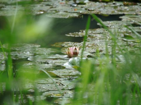 Camping Moulin de David - Camping Dordogne - Image N°75