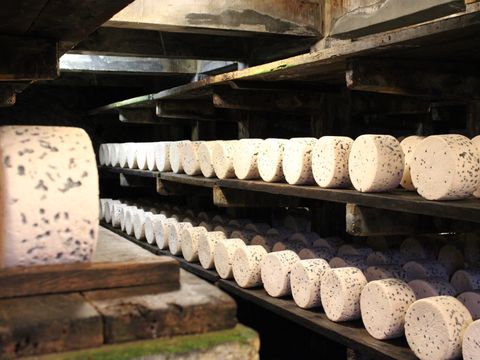 Camping Vert Lavande - Camping Aveyron - Image N°26