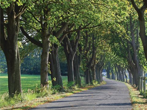 MAISON 6 personnes - DMR634