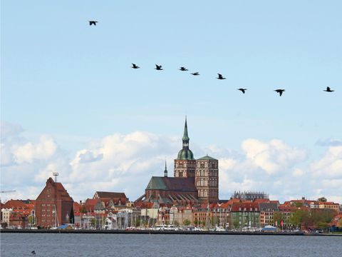 BUNGALOW 6 personnes - DMR644