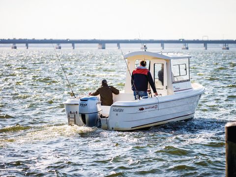 BUNGALOW 6 personnes - DMR605