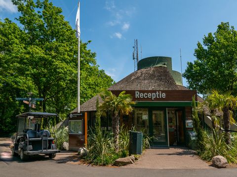 Center Parcs De Eemhof - Camping Zeewolde - Image N°65
