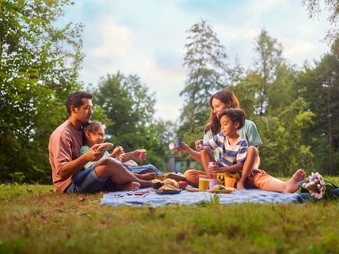 Center Parcs De Eemhof - Camping Zeewolde - Image N°42