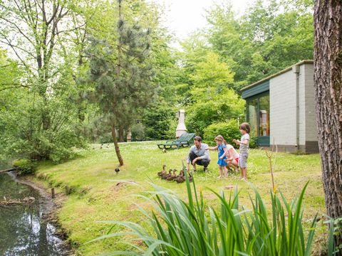 Center Parcs De Eemhof - Camping Zeewolde - Image N°43