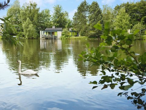 Center Parcs De Eemhof - Camping Zeewolde - Image N°53
