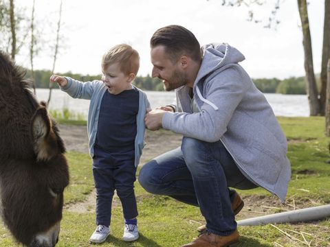 Center Parcs De Huttenheugte - Camping Coevorden - Image N°64