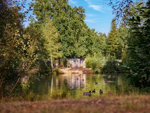Center Parcs De Huttenheugte - Camping Coevorden - Image N°70