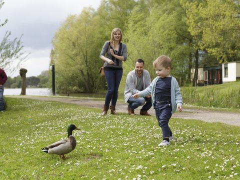 Center Parcs De Huttenheugte - Camping Coevorden - Image N°65