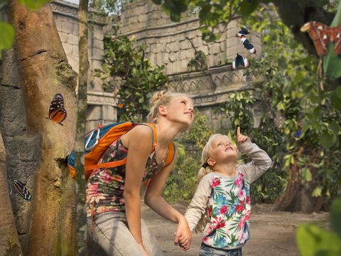 Center Parcs De Huttenheugte - Camping Coevorden - Image N°45