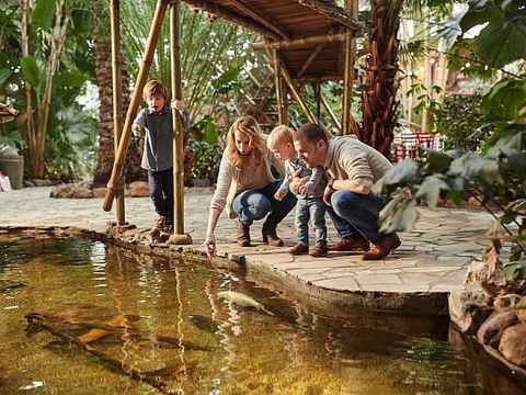 Center Parcs De Huttenheugte - Camping Coevorden - Image N°46
