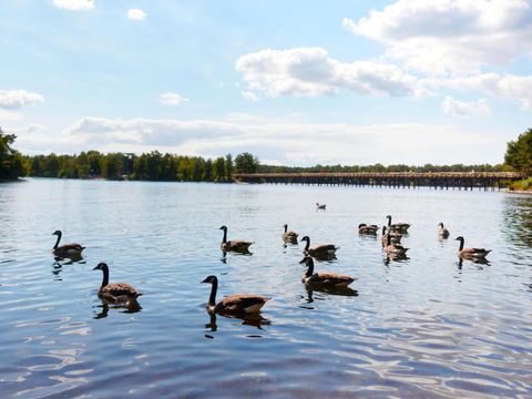 Center Parcs De Huttenheugte - Camping Coevorden - Image N°63
