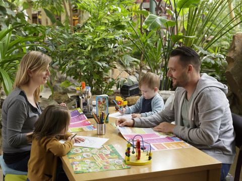 Center Parcs De Huttenheugte - Camping Coevorden - Image N°47