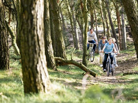 Center Parcs De Huttenheugte - Camping Coevorden - Image N°56