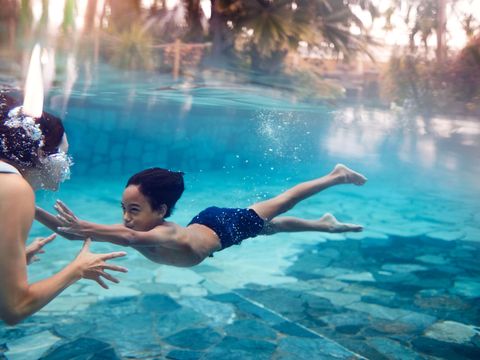 Center Parcs De Huttenheugte - Camping Coevorden - Image N°6