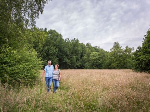 Landal Heihaas - Camping Ermelo - Image N°11