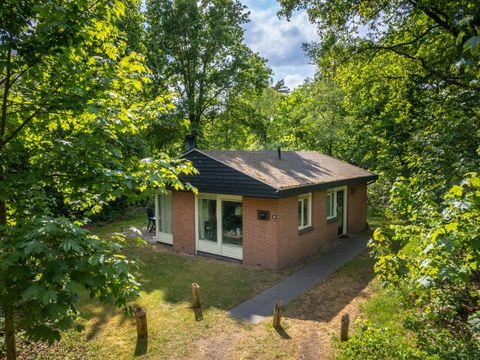 Landal Heihaas - Camping Ermelo - Image N°4
