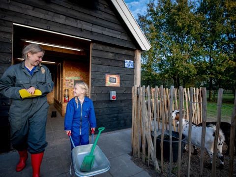Landal Aelderholt - Camping Coevorden - Image N°8