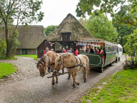 Landal Aelderholt - Camping Coevorden - Image N°7