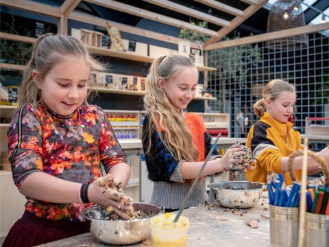 Landal Aelderholt - Camping Coevorden - Image N°9