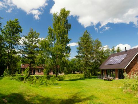 Landal Aelderholt - Camping Coevorden - Image N°34
