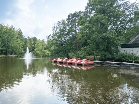 Landal Het Vennenbos - Camping Bladel - Image N°39