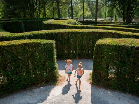 Landal Het Vennenbos - Camping Bladel - Image N°38