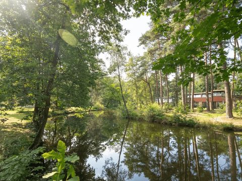 Landal Het Vennenbos - Camping Bladel - Image N°48