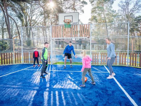 Landal De Lommerbergen - Camping Beesel - Image N°10