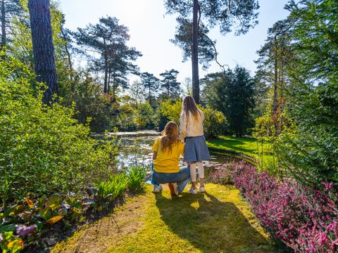 EuroParcs Beekbergen - Camping Apeldoorn - Image N°32