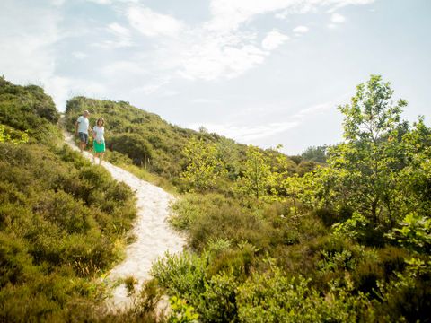 Landal Resort Haamstede - Camping Schouwen-Duiveland - Image N°27