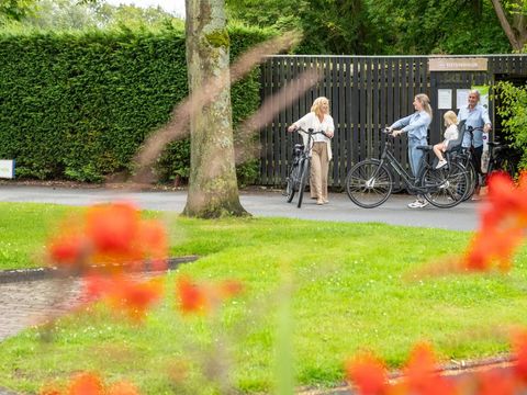 Landal Resort Haamstede - Camping Schouwen-Duiveland - Image N°21