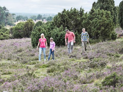 Center Parcs Bispinger Heide - Camping Basse-saxe - Image N°76