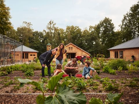 Center Parcs Bispinger Heide - Camping Basse-saxe - Image N°24