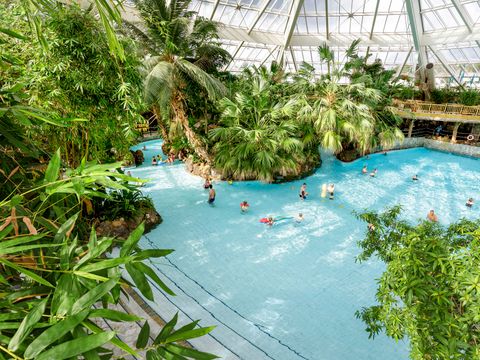 Center Parcs Bispinger Heide - Camping Basse-saxe - Image N°8