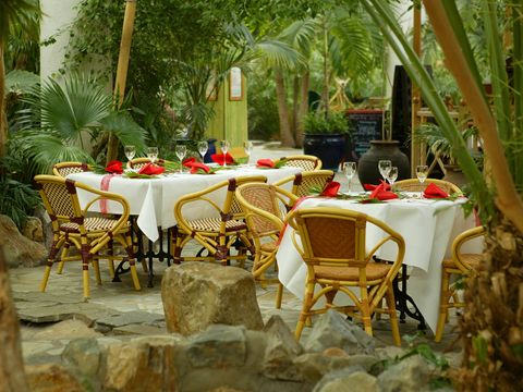 Center Parcs Bispinger Heide - Camping Basse-saxe - Image N°39