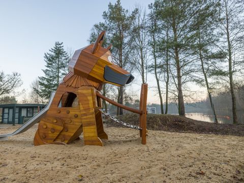 Center Parcs Bispinger Heide - Camping Basse-saxe - Image N°23