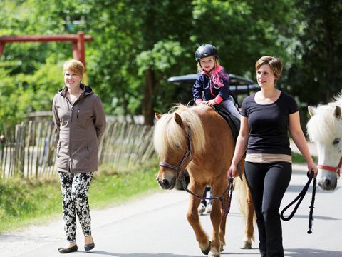 Center Parcs Bispinger Heide - Camping Basse-saxe - Image N°46