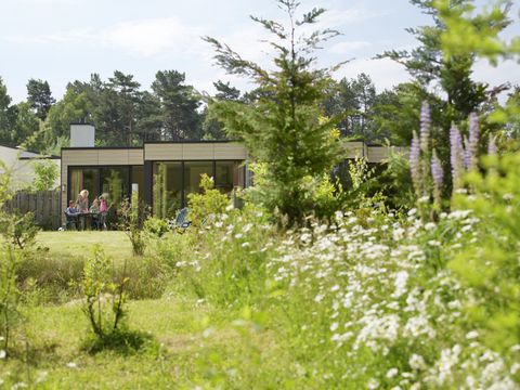Center Parcs Bispinger Heide - Camping Basse-saxe - Image N°71