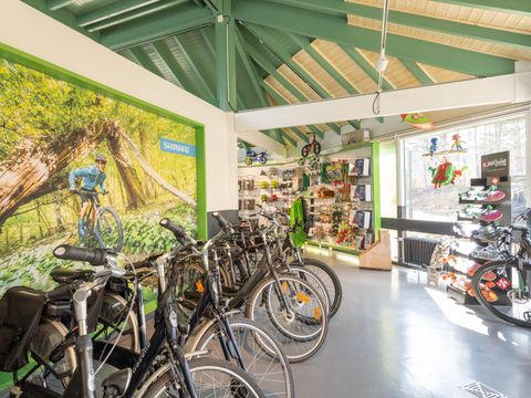 Center Parcs Bispinger Heide - Camping Basse-saxe - Image N°79