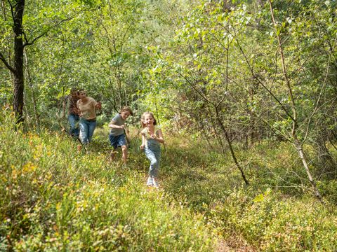 Center Parcs Bispinger Heide - Camping Basse-saxe - Image N°22