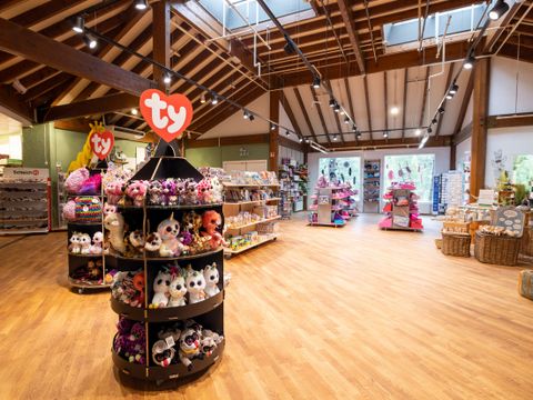 Center Parcs Bispinger Heide - Camping Basse-saxe - Image N°59