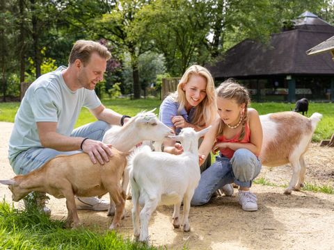Center Parcs Het Heijderbos - Camping Gennep - Image N°31