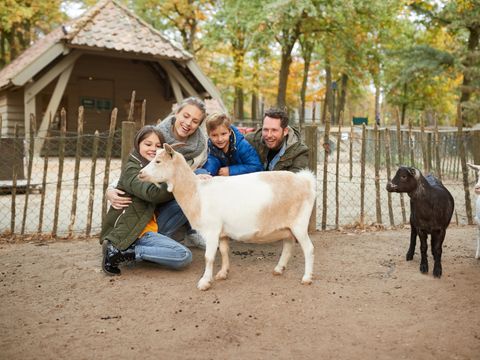 Center Parcs Het Heijderbos - Camping Gennep - Image N°30