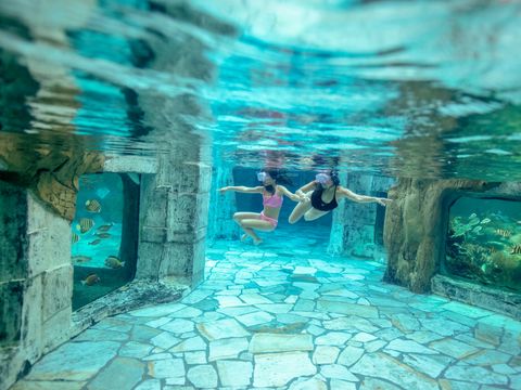 Center Parcs Het Heijderbos - Camping Gennep - Image N°5
