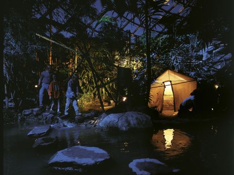 Center Parcs Het Heijderbos - Camping Gennep - Image N°51