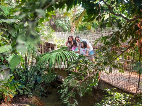 Center Parcs Het Heijderbos - Camping Gennep - Image N°35