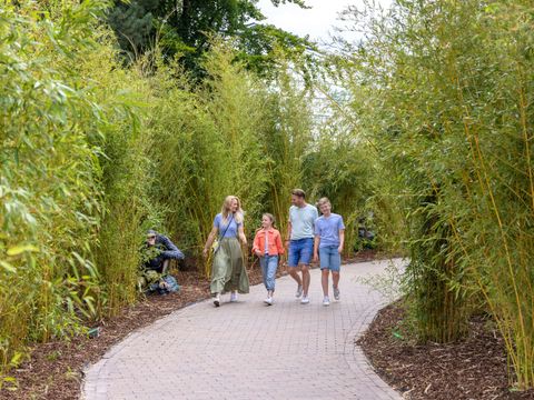 Center Parcs Het Heijderbos - Camping Gennep - Image N°54