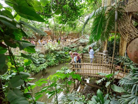 Center Parcs Het Heijderbos - Camping Gennep - Image N°33