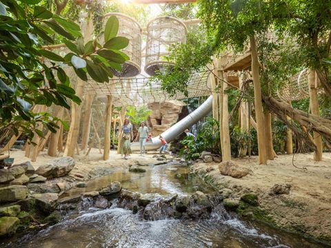 Center Parcs Het Heijderbos - Camping Gennep - Image N°34